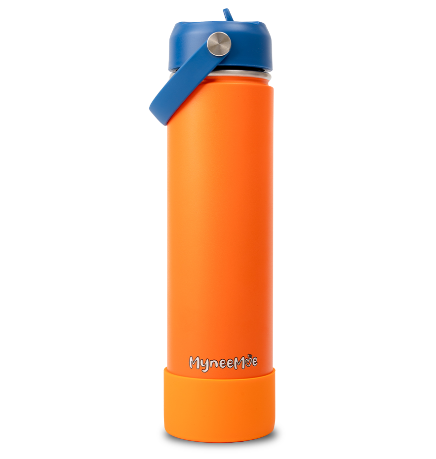 Buy MyneeMoe MyneeMoe Flow 750ml Stainless Steel Water Bottle – Leakproof & Durable Orange & Blue - Water Bottle at MyneeMoe Online In India