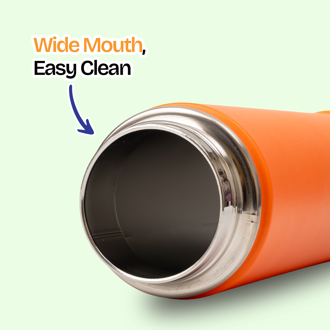 Buy MyneeMoe MyneeMoe Flow 750ml Stainless Steel Water Bottle – Leakproof & Durable - Water Bottle at MyneeMoe Online In India