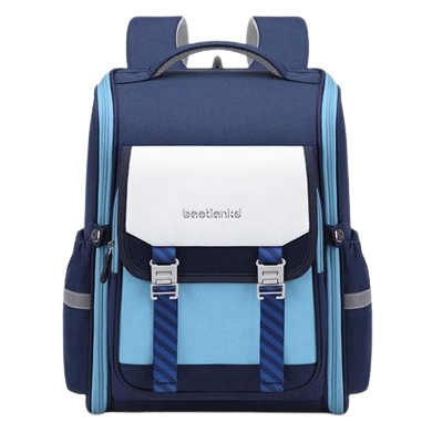 Buy Elite Elegance Premium Backpack at Myneemoe Online In India