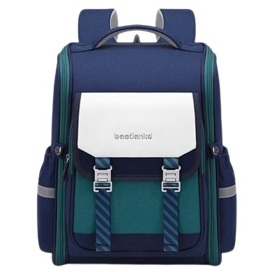 Buy Elite Elegance Premium Backpack Green at Myneemoe Online In India
