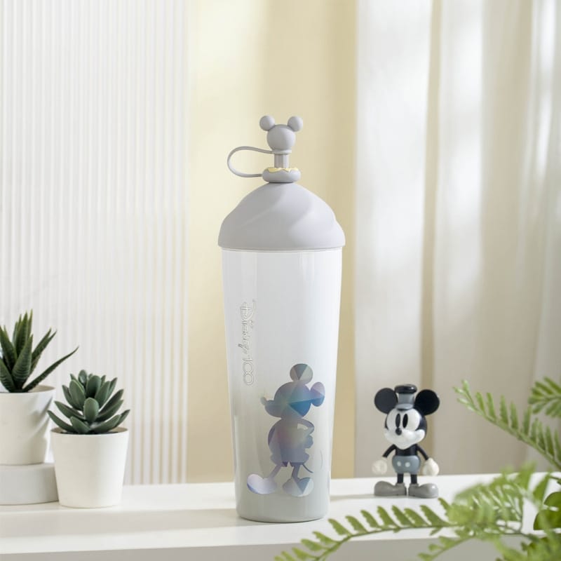 Buy Disney Character Stainless Steel Sipper – Fun, Durable, & Portable for Kids at MyneeMoe Online In India